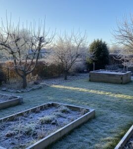 Der Garten im Februar