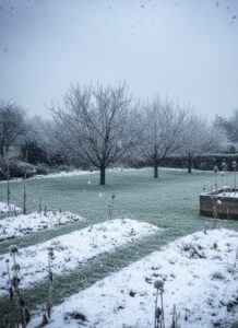 Der Garten im Januar