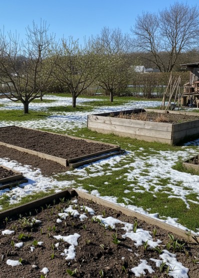 Garten im März
